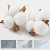 Women's Autumn and Winter Dopamine Colored Cotton Fashion Socks (5 Pairs)