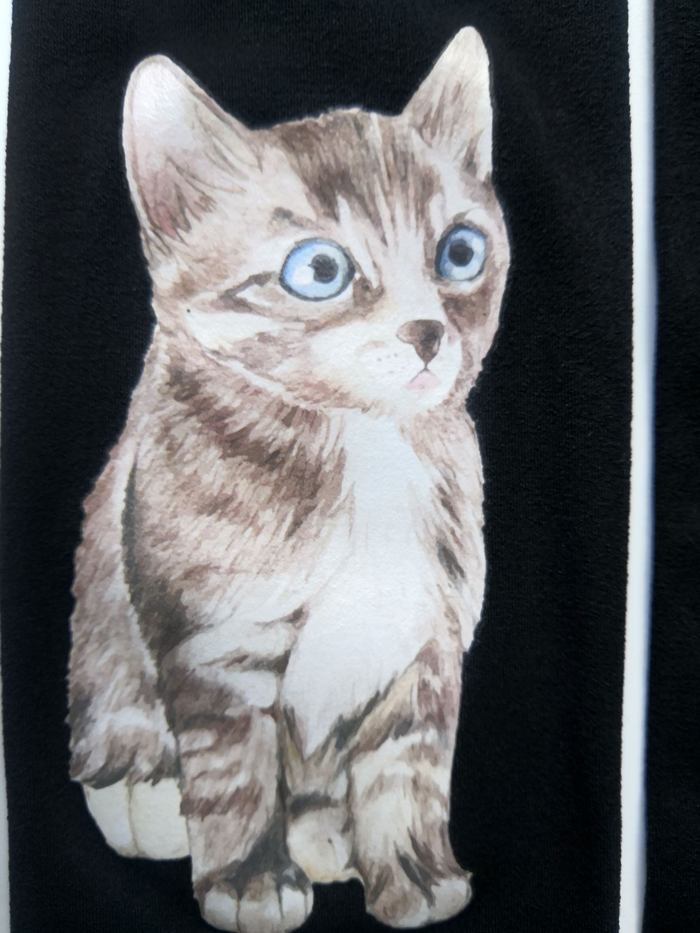 Cute Cat Tights - Black Kitten Patterned Stockings for Spring - Image 4